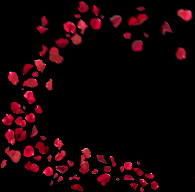 Cascading_ Red_ Rose_ Petals PNG Image