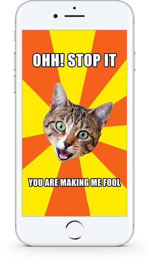 Cat Meme Ohh Stop It You Are Making Me Fool PNG Image