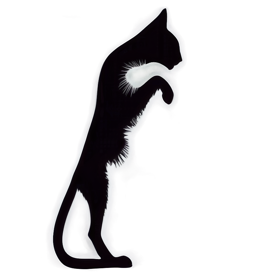 Cat Outline Silhouette Png 06122024 PNG Image