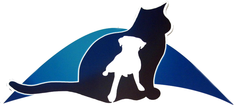 Catand Dog Silhouette PNG Image