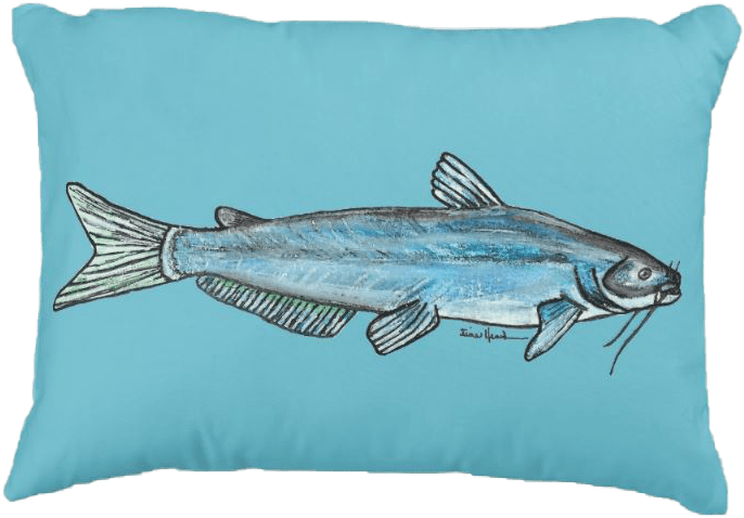 Catfish Illustration Cushion.png PNG Image