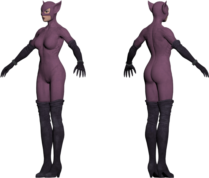 Catwoman3 D Model Frontand Back View PNG Image