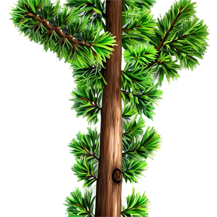 Cedar Tree Branch Png 73 PNG Image