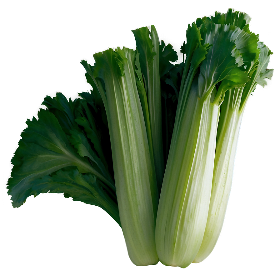 Celery D PNG Image