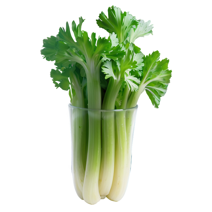 Celery For Detox Png 73 PNG Image