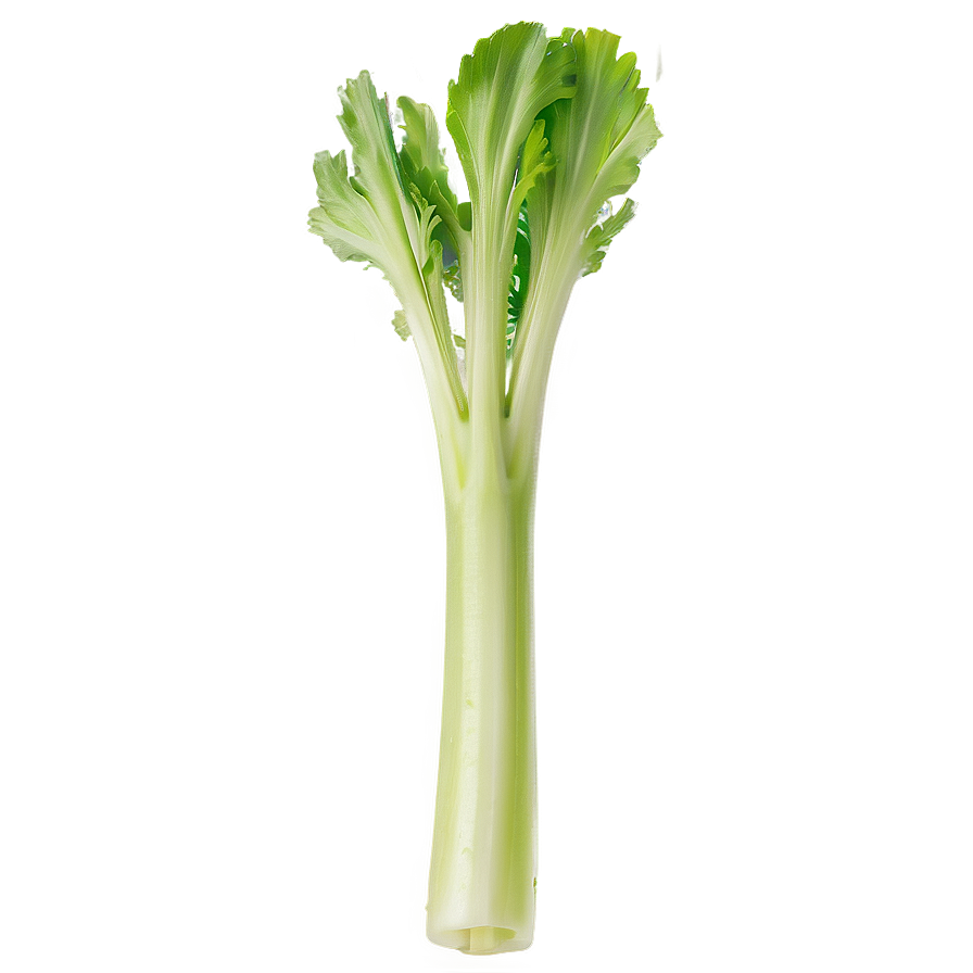 Celery On White Background Png 06252024 PNG Image