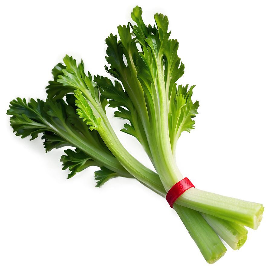 Celery On White Background Png Ckk PNG Image