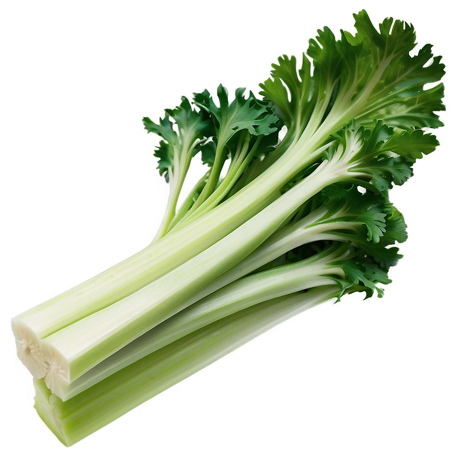 Celery Piece Png 50 PNG Image