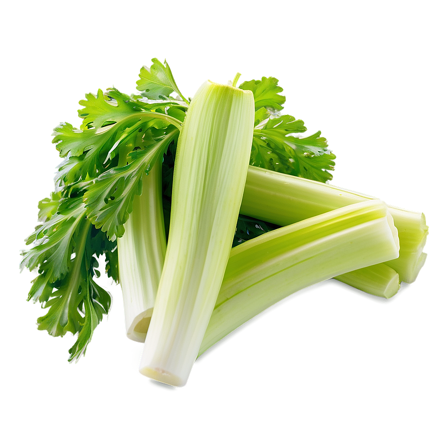 Celery Stalk Png 06252024 PNG Image