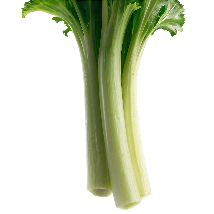 Celery Stalk Png 64 PNG Image