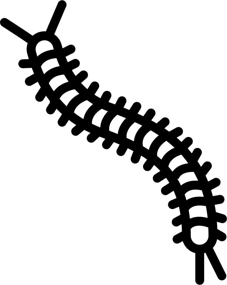 Centipede Silhouette Graphic PNG Image