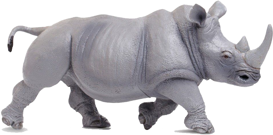 Charging Rhinoceros Isolated PNG Image