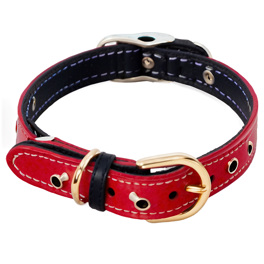 Charming Cat Collar Png 06292024 PNG Image