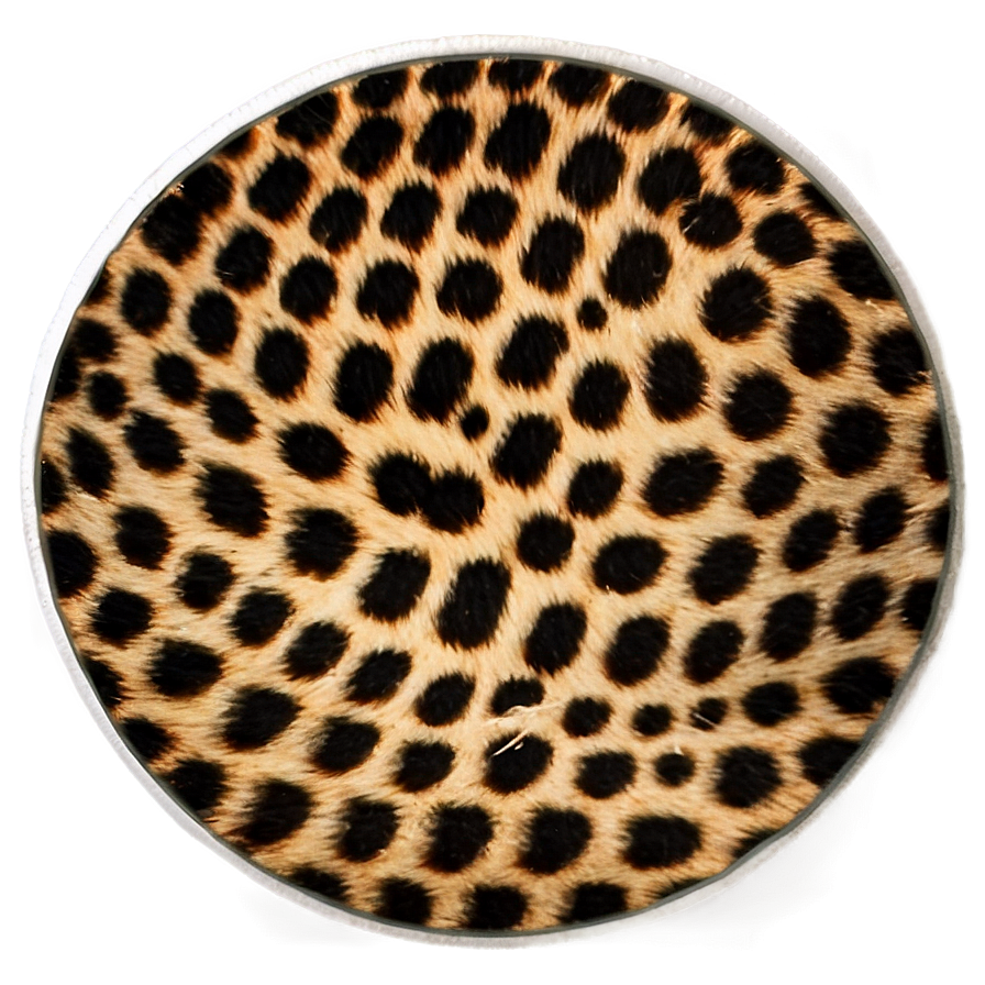 Cheetah Print Fabric Look Png 32 PNG Image