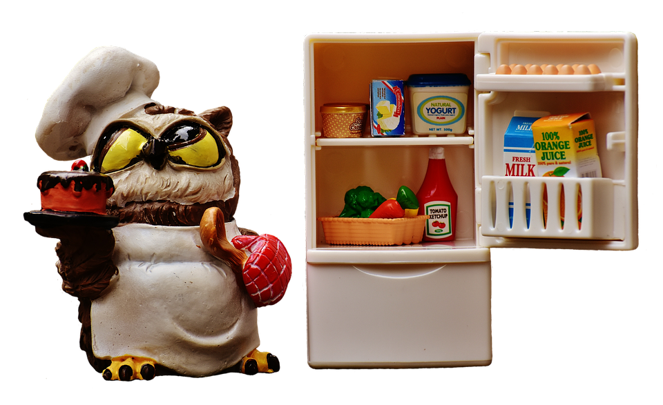 Chef Owlwith Fridgeand Food Items PNG Image