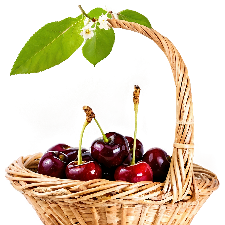 Cherry Basket Png Uvh80 PNG Image