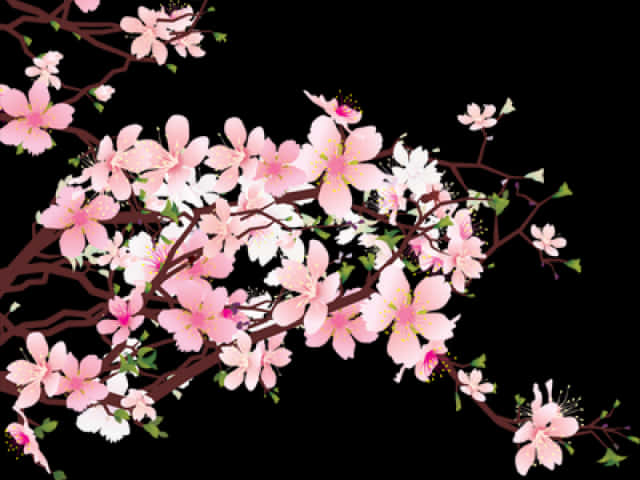 Cherry Blossom Branches Artistic Representation PNG Image