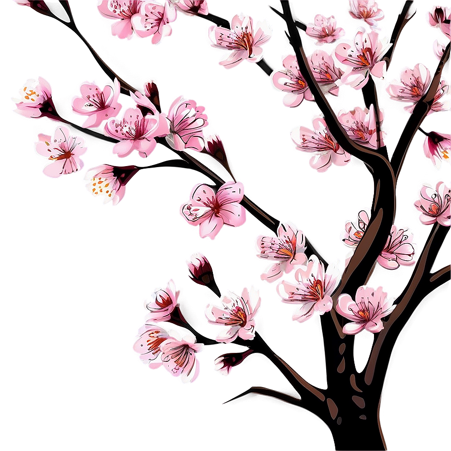 Cherry Blossom Drawing Png 28 PNG Image