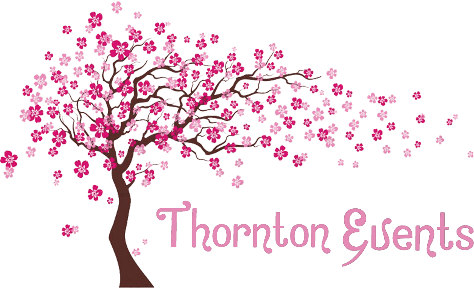 Cherry Blossom Graphic Thornton Events PNG Image