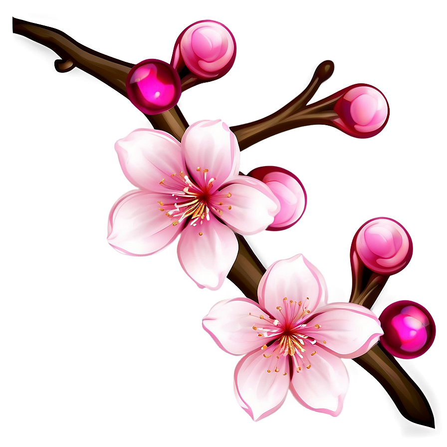 Cherry Blossom Illustration Png Ixr PNG Image