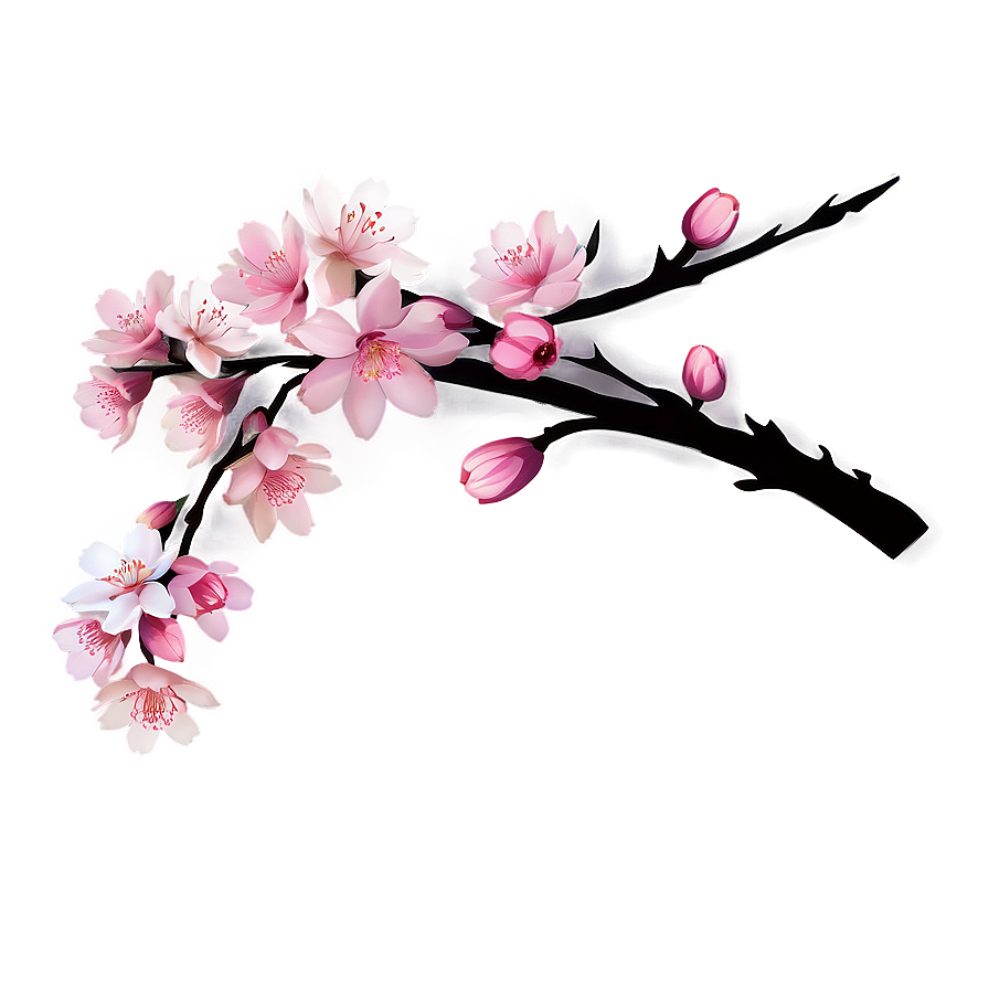 Cherry Blossom Invitation Png Sny PNG Image