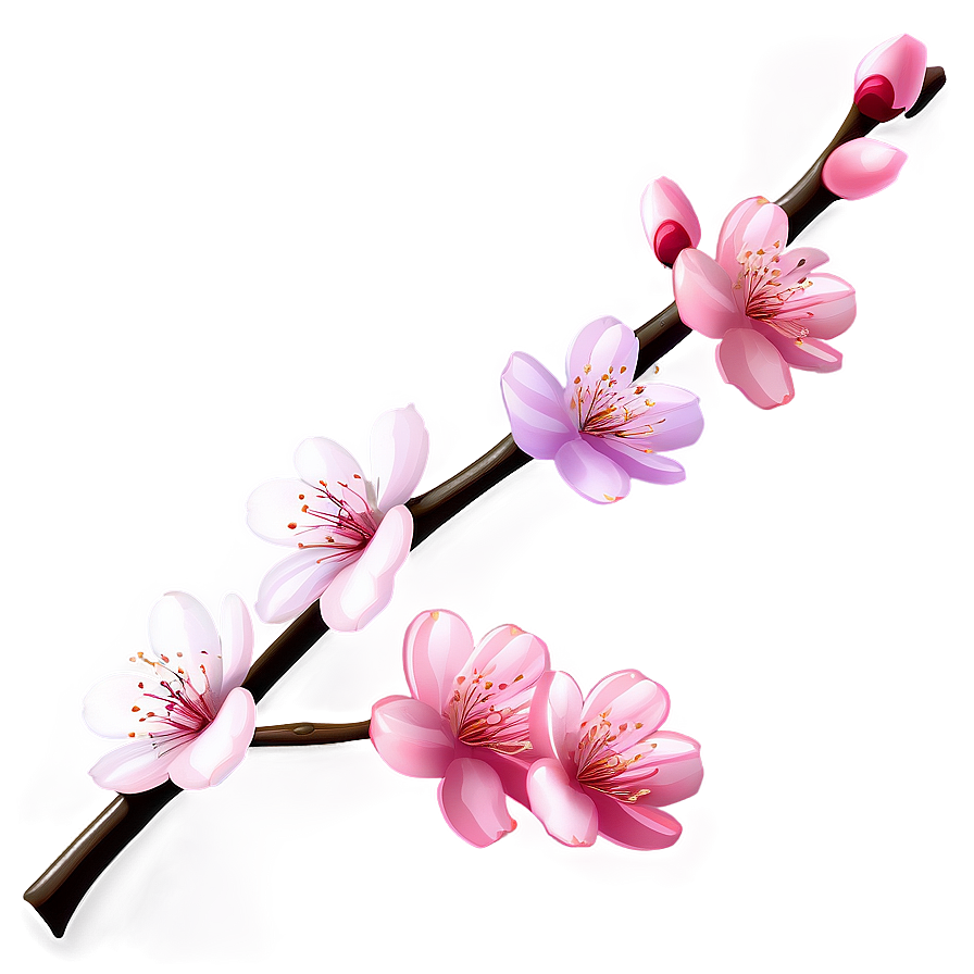 Cherry Blossom Night Png Ije97 PNG Image