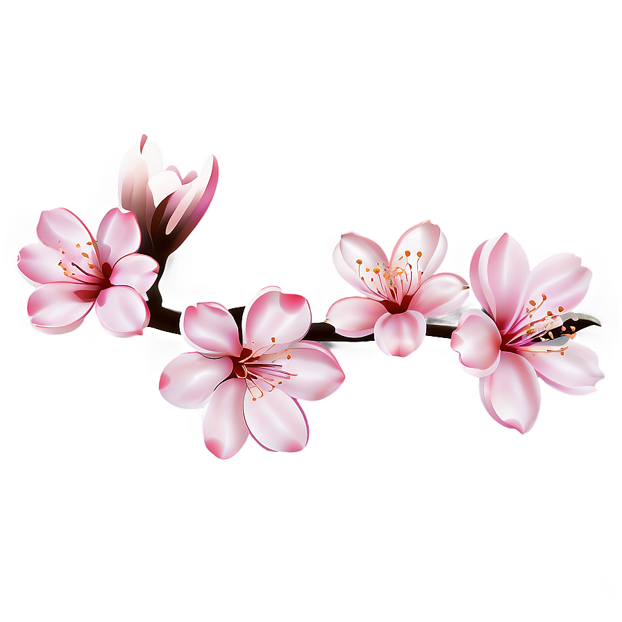 Cherry Blossom Outline Png Occ87 PNG Image