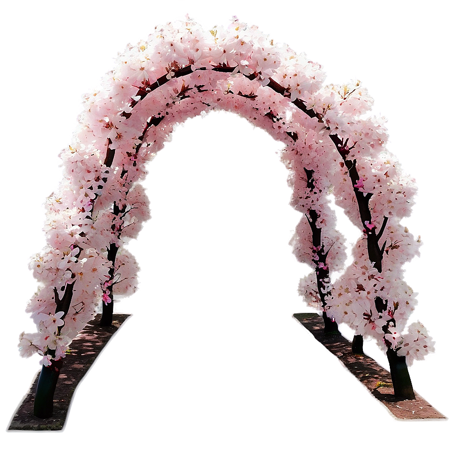 Cherry Blossom Road Pathway Png Kdr PNG Image