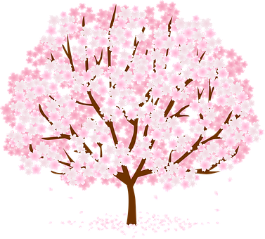 Cherry Blossom Tree Illustration PNG Image