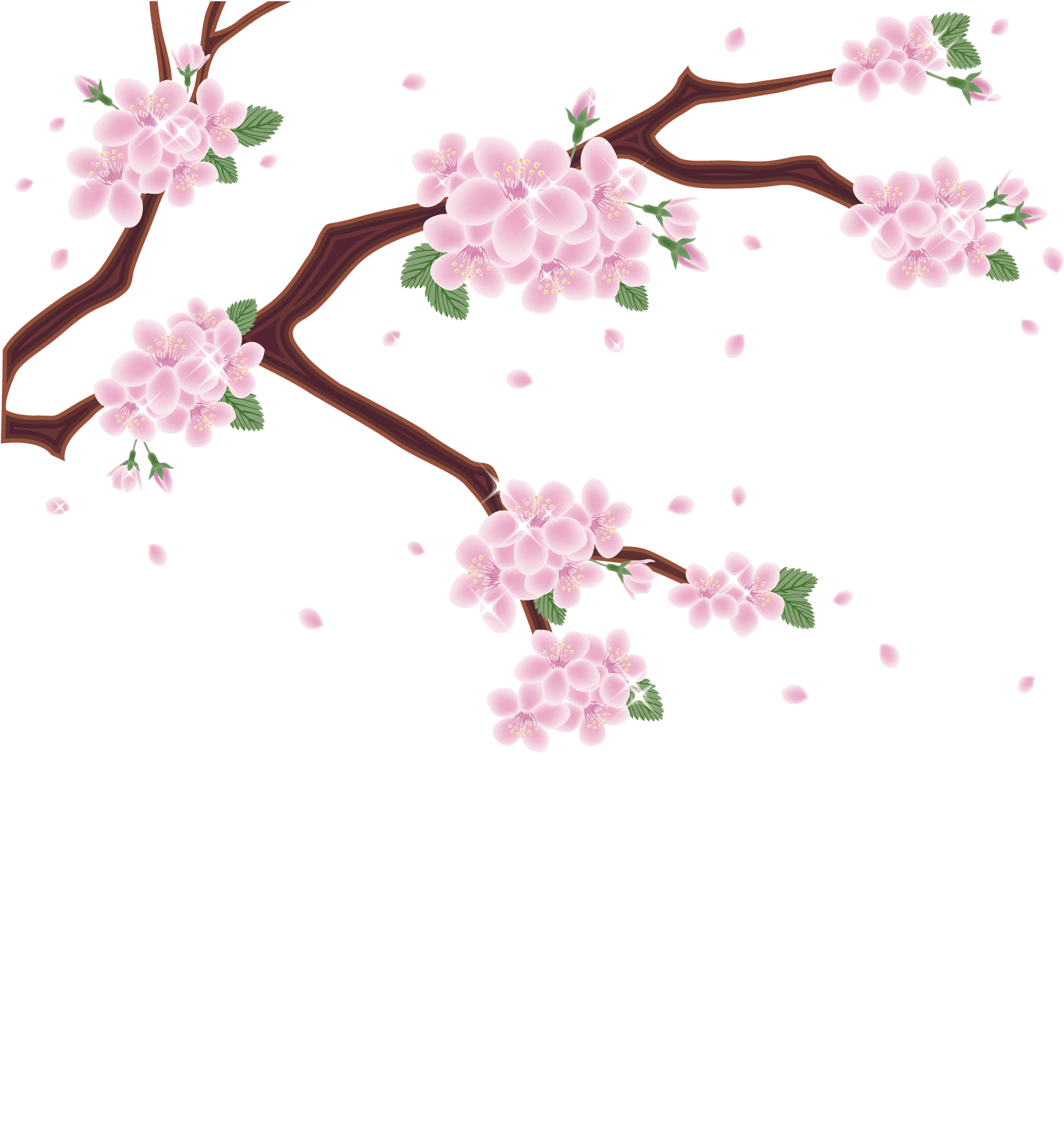 Cherry Blossoms Artistic Representation PNG Image