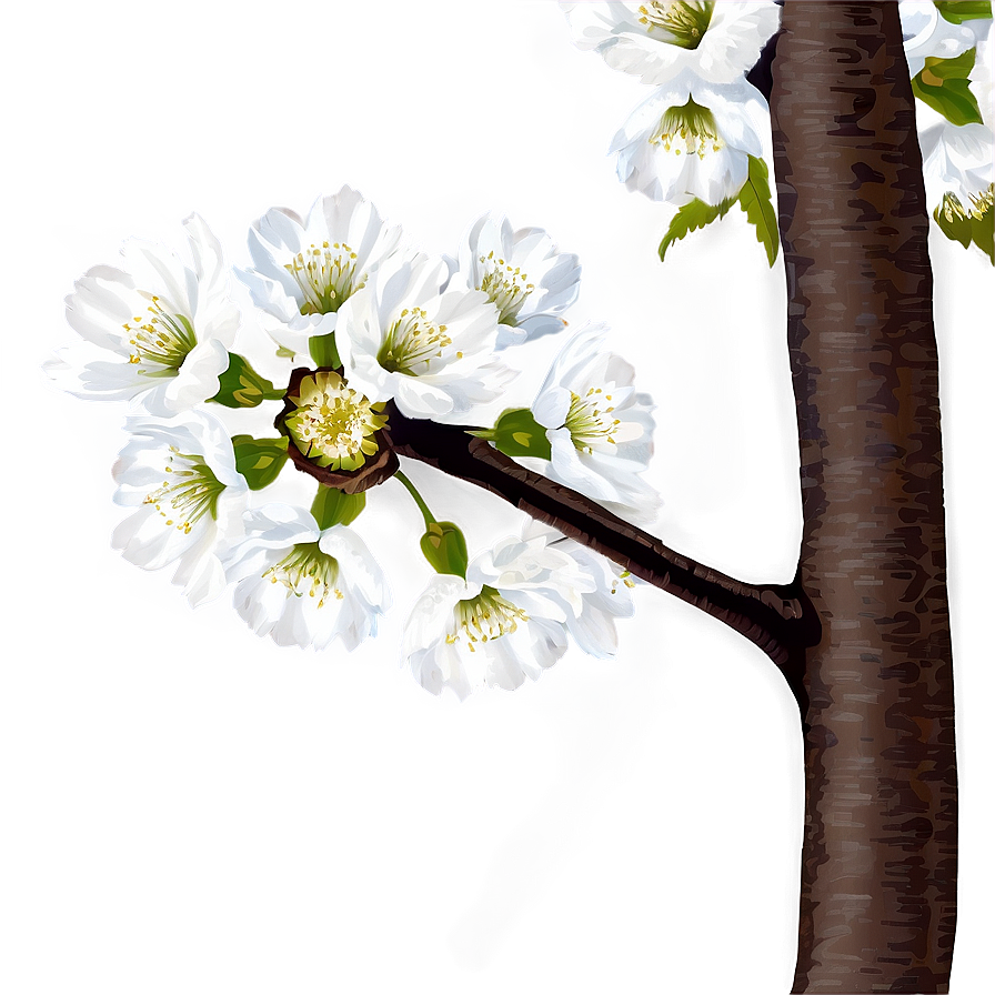 Cherry Tree Art Png 79 PNG Image