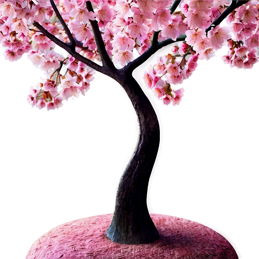 Cherry Tree Wallpaper Png 06212024 PNG Image