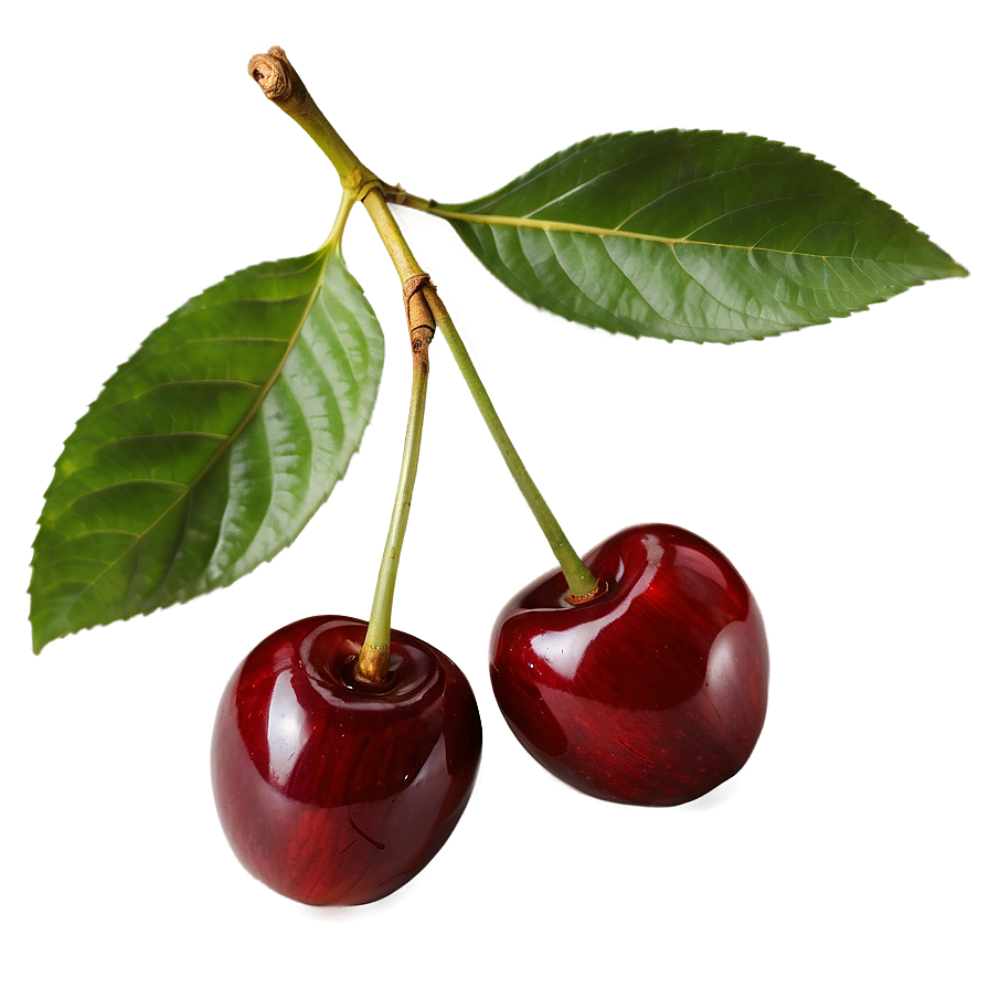 Cherry With Leaf Png Tmy PNG Image