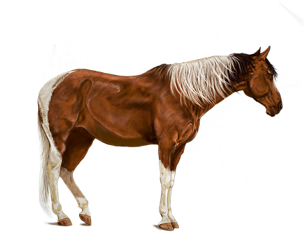 Chestnut Horse White Mane PNG Image