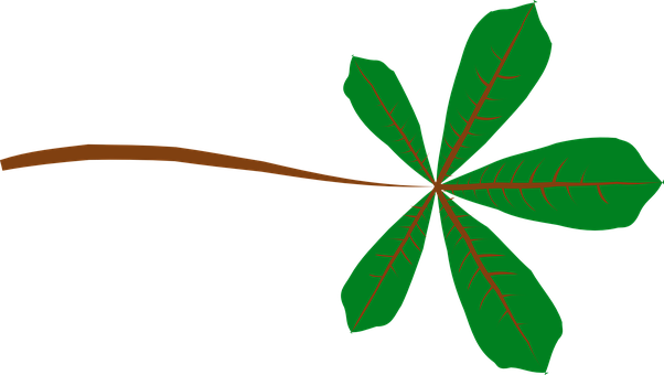 Chestnut Leaf Graphic PNG Image