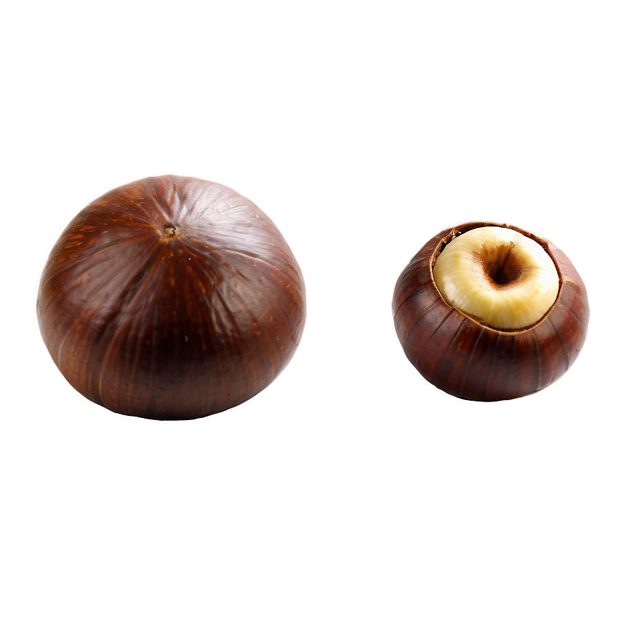 Chestnut Png 06122024 PNG Image