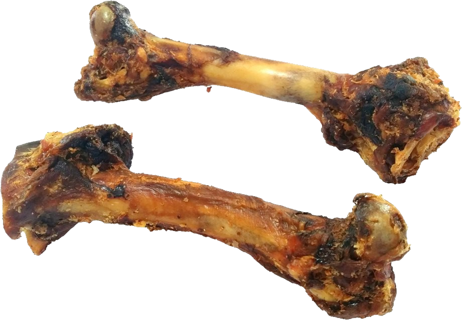 Chewed Dog Bones PNG Image