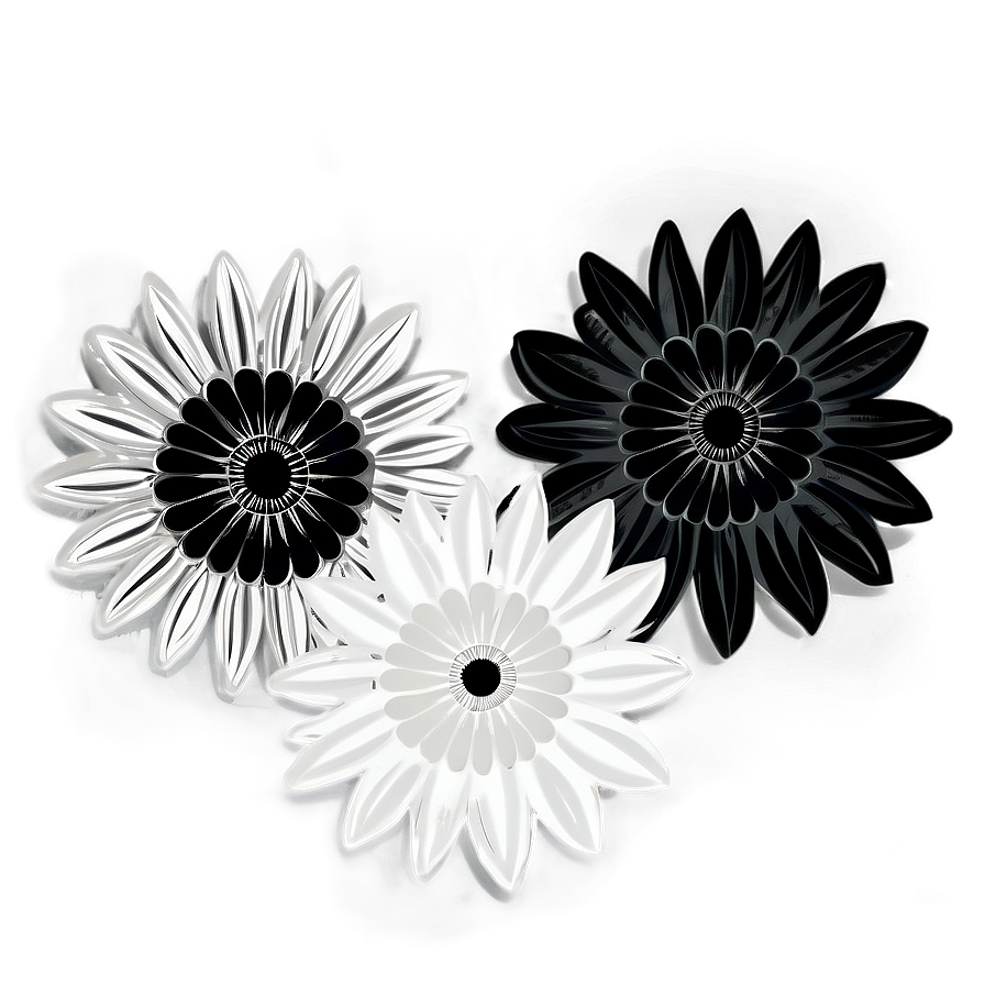 Chic Black And White Flowers Png Ent PNG Image