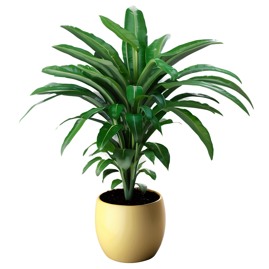 Chic Floor Plant Png 06282024 PNG Image