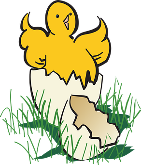 Chick Hatching From Egg PNG Image