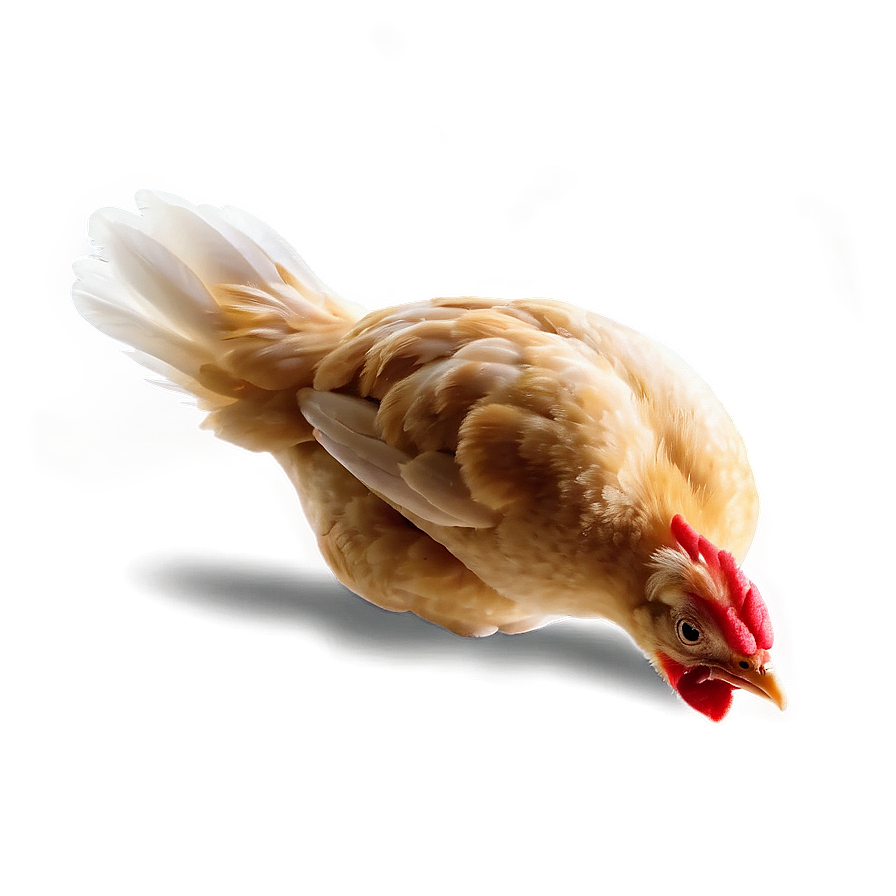 Chicken Sprite Png 81 PNG Image