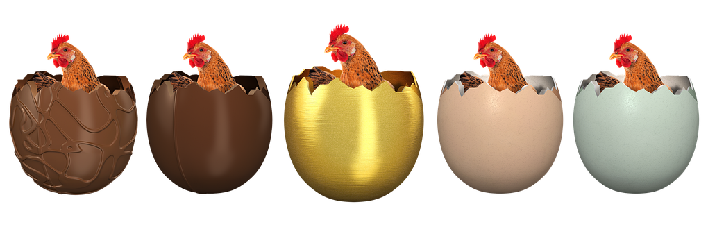 Chickens_ In_ Chocolate_ Eggs PNG Image