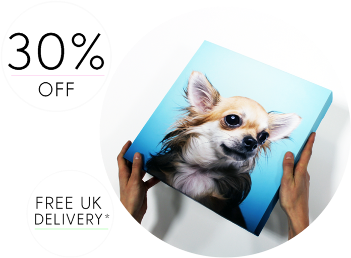 Chihuahua Portrait Canvas Discount Offer PNG Image