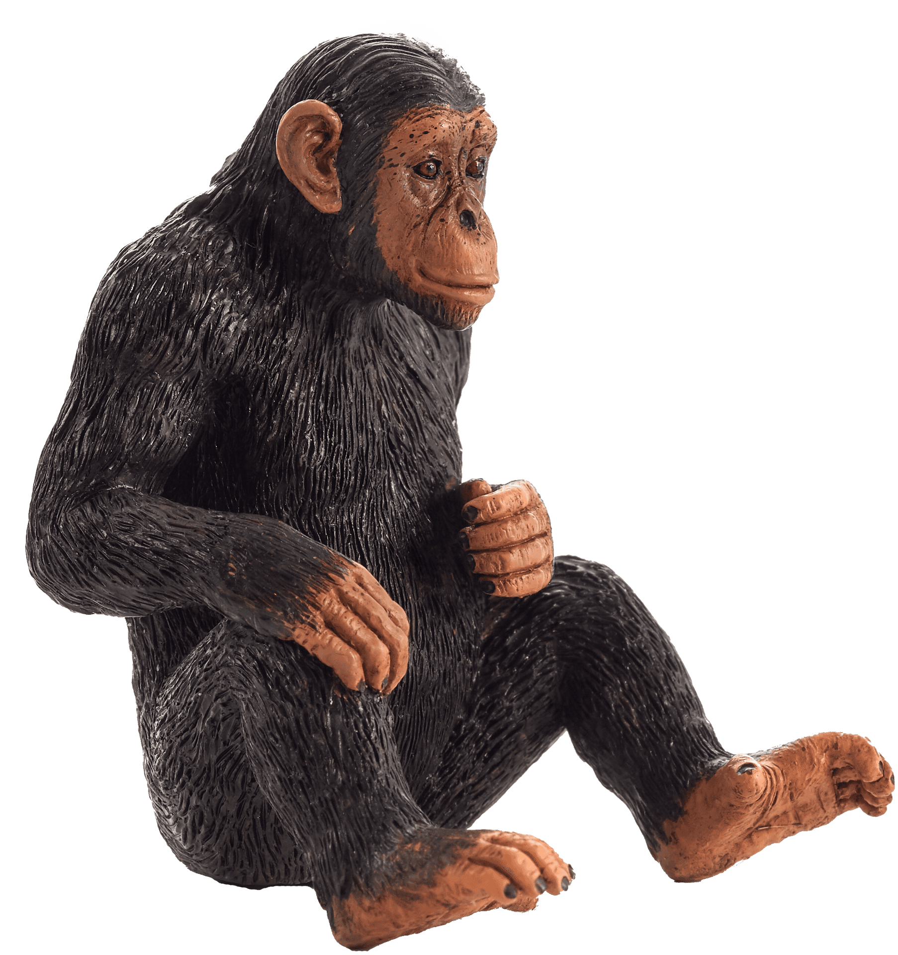 Chimpanzee Figurine Sitting Pose PNG Image