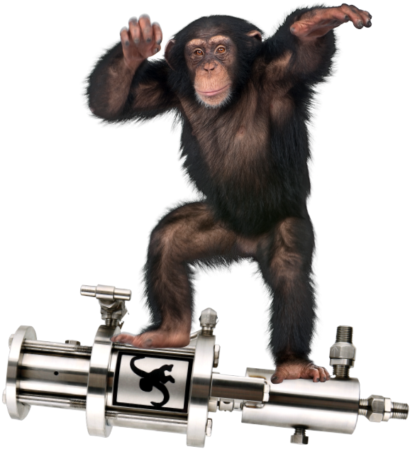 Chimpanzee On Metal Apparatus PNG Image