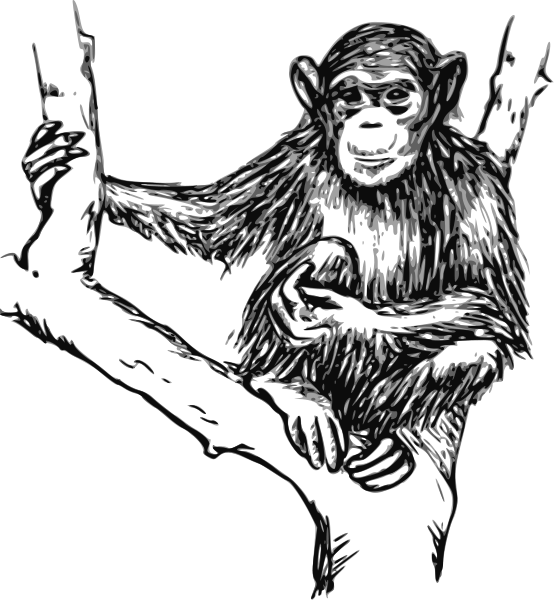 Chimpanzeein Tree Artwork PNG Image