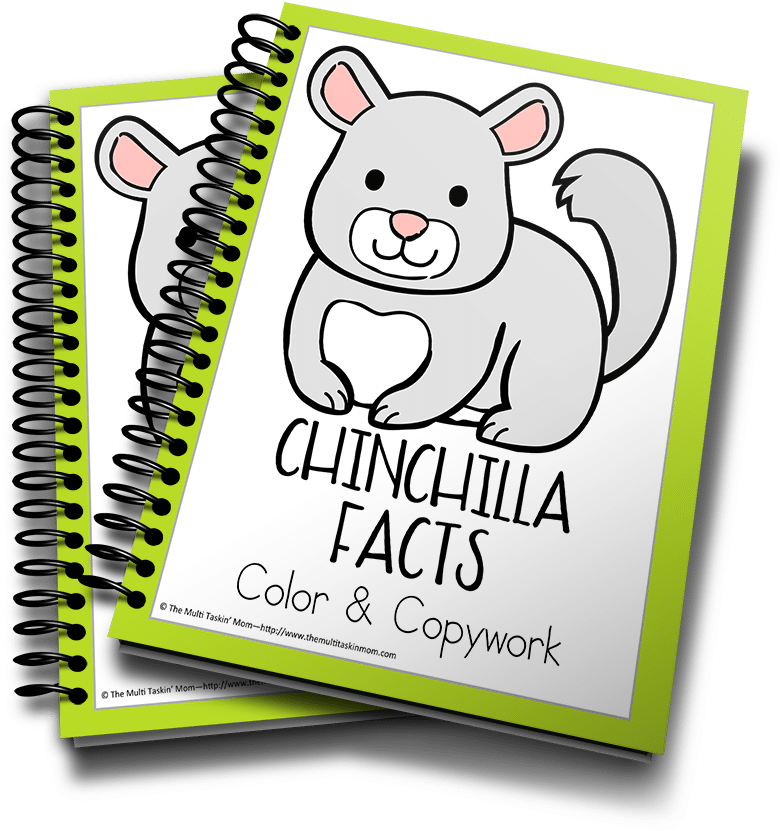 Chinchilla Facts Coloring Book Cover PNG Image