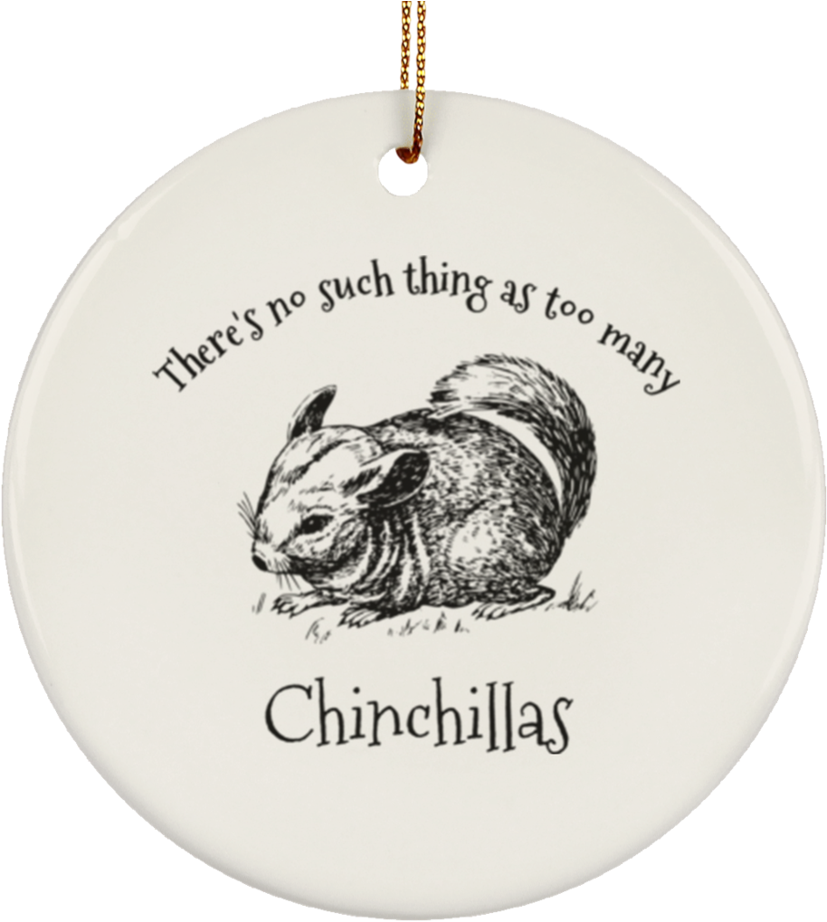 Chinchilla Ornament Graphic PNG Image