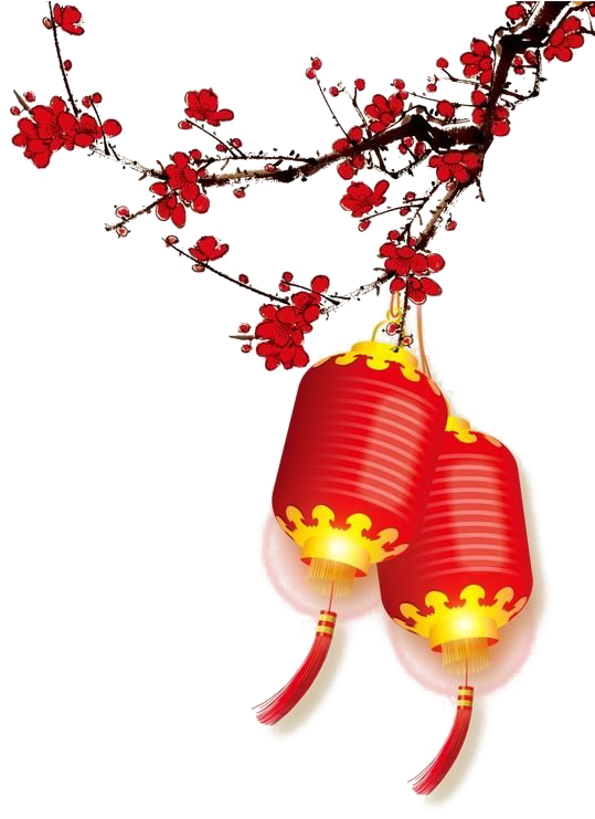 Chinese New Year Lanterns Branch PNG Image