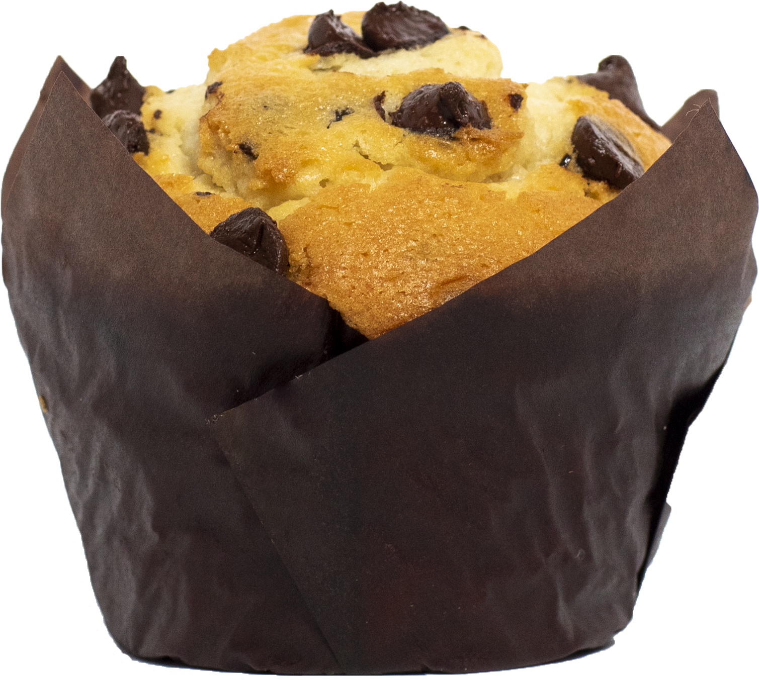 Chocolate Chip Muffin Isolated PNG Image